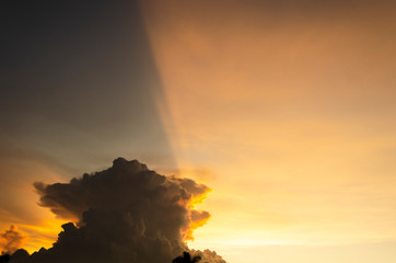 Evening Sunlight