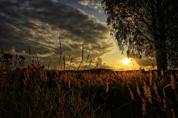 Fields in autumn evening in sunset time