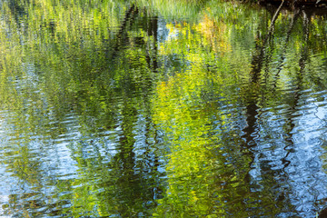 abstract autumn landscape of reflection in the water of bright foliage, tree trunks and blue sky