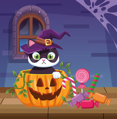 halloween dark scene with cat in pumpkin