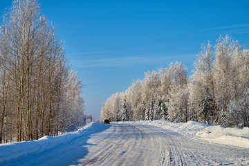 White road in a winter forest with snow covered trees in a sunny day