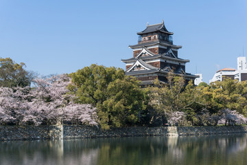 Hiroshima castle with sakura flower blooming