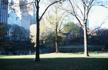 セントラルパーク