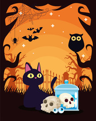 halloween dark scene with black cat