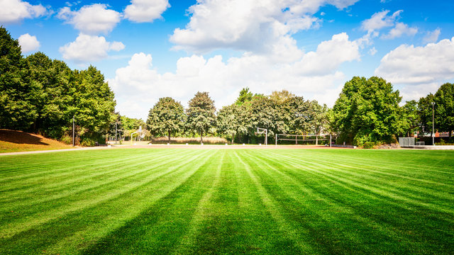 soccer field in summer park