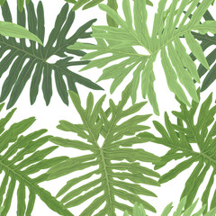 Tropical seamless pattern of monstera leaf background. Vector set of exotic tropical garden for holiday invitations, greeting card and fashion design.