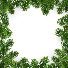 Frame of Christmas tree branches and empty center