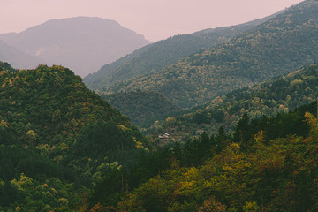 Autumn landscape view in Rhodope Mountains with green, yellow and orange leafs 
