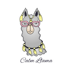 Llama, alpaca head illustration, vector