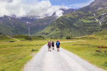 Fototapeta na wymiar Group of eldery people go Nordic walking in the mountains.