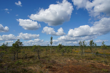 Baltikum