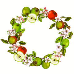 Hand drawn frame of apples,Apple frame,Apple flowers