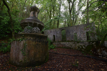 A fountain in the ruins of Tivoli Park Lerryn Cornwall