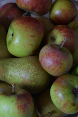 Macro image of freshly picked pears and apples