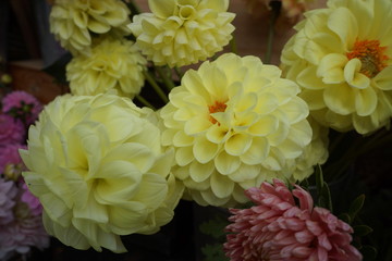 bouquet of yellow dahlias and green leaf