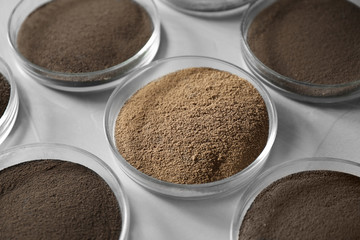 Petri dishes with soil samples on grey table. Laboratory research