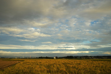 Obraz premium 田園風景