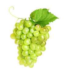 Bunch of fresh ripe juicy grapes isolated on white