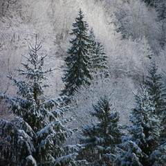 Paysage de neige dans la vallée de l'Oisans dans les Alpes françaises