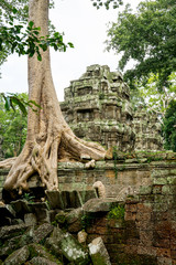 Fototapeta na wymiar Ancient religion temple with giant tree growing on the top in temple complex Cambodia 