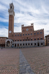 Obraz premium Siena Piazza del Mangia e torre