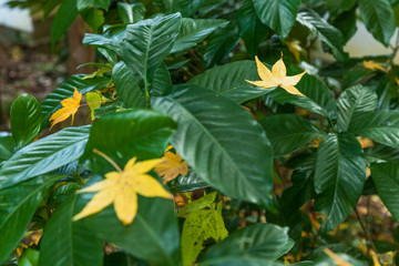 『静寂』。まさに、そんな言葉がぴったりな場所。