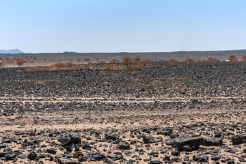Lava field in Harrat Kishb near Umm Aldoom, Saudi Arabia 