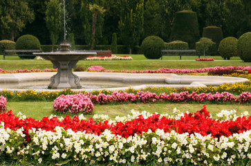 Fototapeta premium Beautiful garden with fountain and flowers Vienna Austria