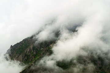 fog on top of mountain