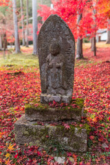 寝転びたくなるような燃えるように赤い紅葉の絨毯