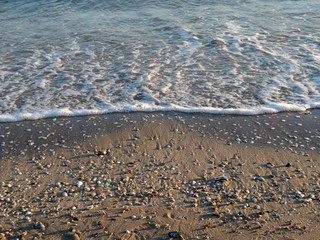 Spiaggia di Rimini con conchiglie e onde