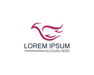 Bird logo template design vector, concept creative icon