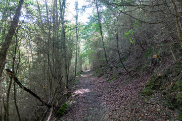 The ter route through the interior of Girona