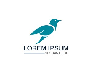 Bird logo template design vector, concept creative icon