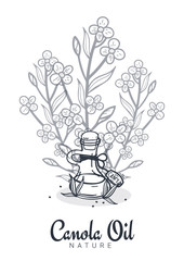 Rapeseed and canola oil banners. Nature Organic product.