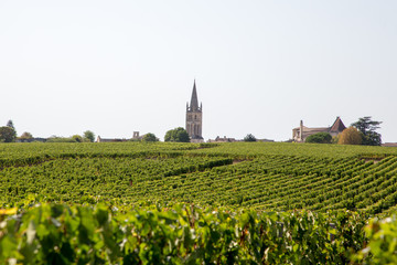 Fototapeta na wymiar landscape view Vineyards at Saint Emilion village in Bordeaux