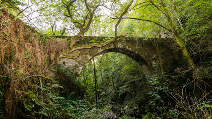 Un viejo puente de piedra con origen románico cubierto de vegetación por el paso de los años