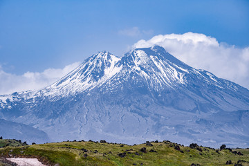Fototapeta na wymiar view on Kamen Volcano, active Klyuchevskoy Volcano and active Bezymianny Volcano.