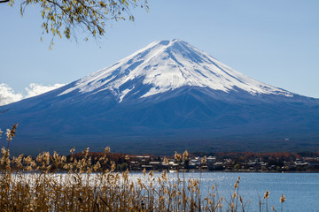 Fototapeta na wymiar Autumn Season and Mountain Fuji 