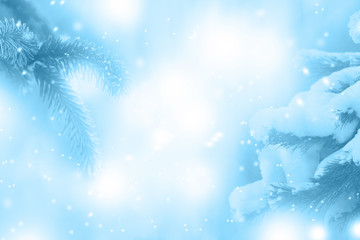 Blue abstract winter background with spruce branches and lights