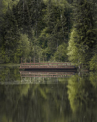 Fototapeta na wymiar bridge over the forest lake