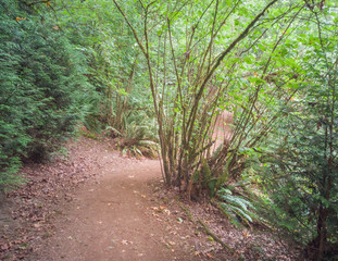 Gloriously motley photos of marvelous King County's Mercer Slough Nature Park in Bellevue, Washington