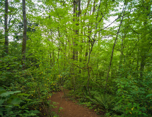 Gloriously motley photos of marvelous King County's Mercer Slough Nature Park in Bellevue, Washington