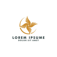 Wing logo template icon design vector