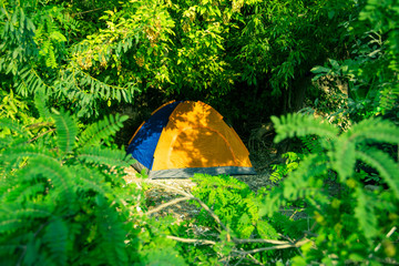 lonely orange tent camp in green plant foliage natural frame travel tourism life style concept picture in summer season time
