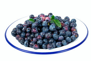 fresh blueberries in mettalic plate