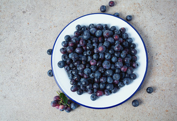 fresh blueberries in a metallic bowl