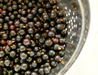 Blackcurrant berries. Metal colander full of freshly harvested and washed fresh ripe black currant.  Healthy food, berry snack dessert. Closeup. Summer consept