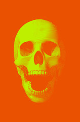 Green screaming skull illustration on orange BG