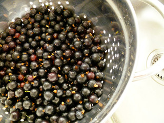 Blackcurrant berries. Metal colander full of freshly harvested and washed fresh ripe black currant.  Healthy food, berry snack dessert. Closeup. Summer consept